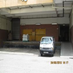 PEI FU INDUSTRIAL BUILDING (D19), Factory #52738202